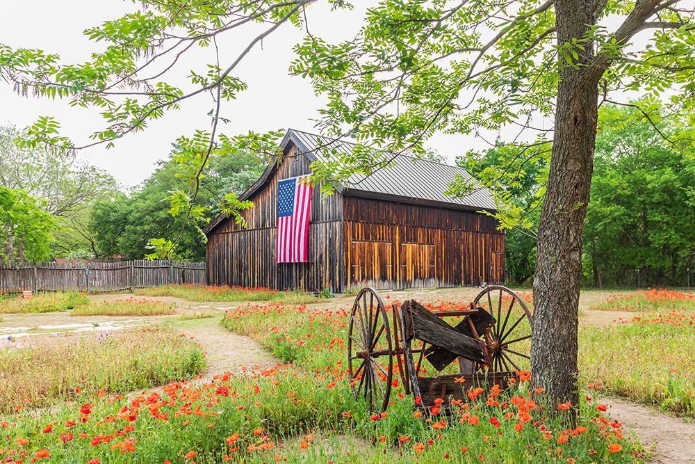 Castroville-Texas-USA-Large American flag on a barn in the Texas Hill Country